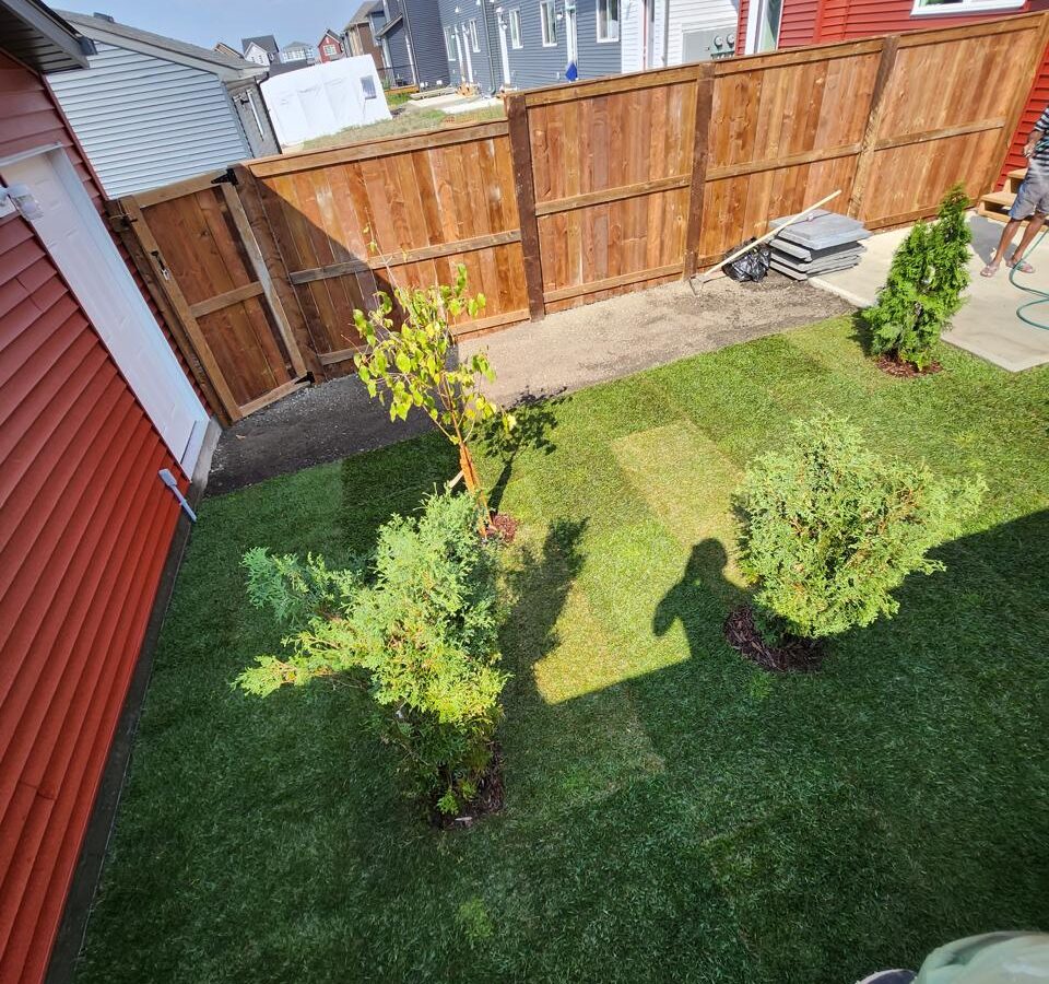Basement Renovation Services in Canada