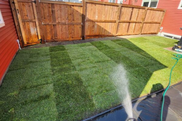Landscaping Services in Calgary